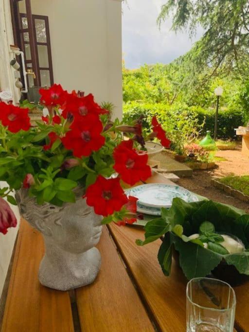 Casina Foggia Dell'Albero Apartment ปูติญญาโน ภายนอก รูปภาพ