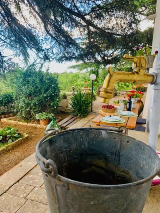 Casina Foggia Dell'Albero Apartment ปูติญญาโน ภายนอก รูปภาพ