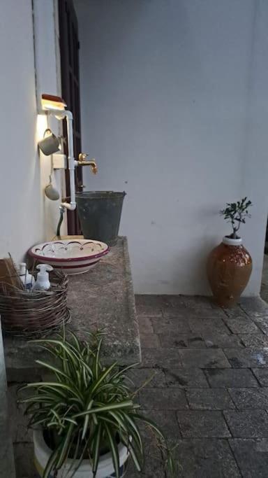 Casina Foggia Dell'Albero Apartment ปูติญญาโน ภายนอก รูปภาพ