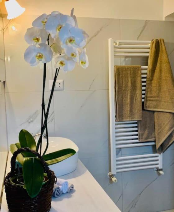 Casina Foggia Dell'Albero Apartment ปูติญญาโน ภายนอก รูปภาพ
