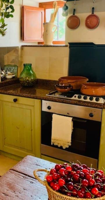 Casina Foggia Dell'Albero Apartment ปูติญญาโน ภายนอก รูปภาพ